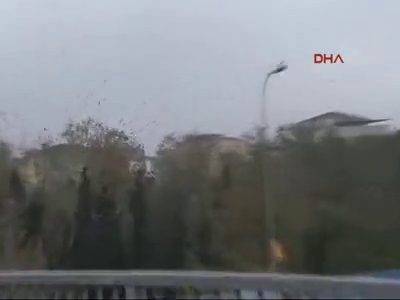 Karga istilası