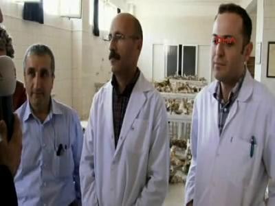 Öldürülen leopar 2 yaşında ve erkek