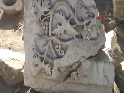 Anadolu leoparının 1800 yıllık izi