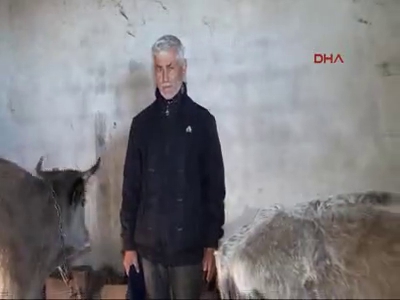 Kuduz alarmı