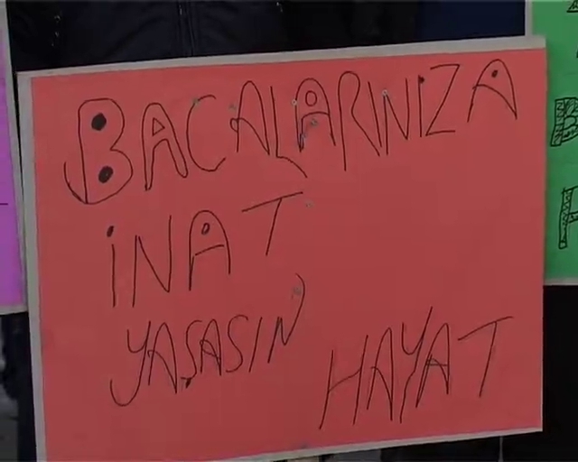 Bursa'da bu ilçe zehir saçan bacalar için ayaklandı