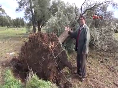 Hortum köyleri vurdu