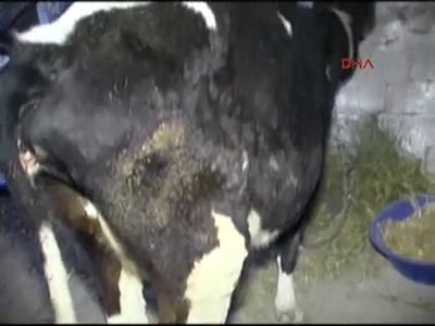 Bu köy karantinaya alındı