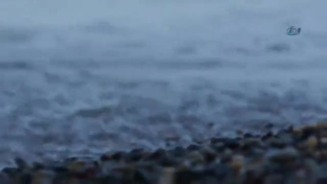 "Ülkeyi nasıl seveceğini sana öğreteceğiz"