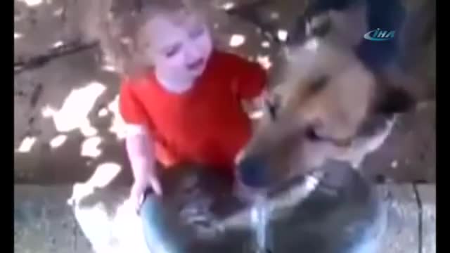 Küçük kız ve köpeğin su savaşı