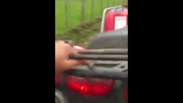 Boğa kırmızıyı görürse