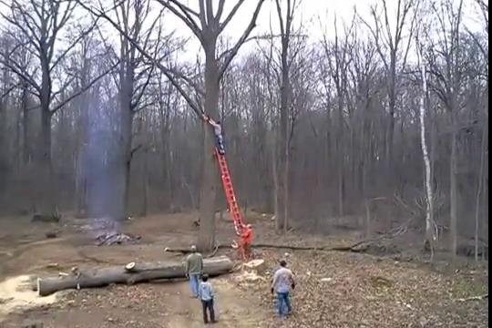 Elektrikli testere faciası