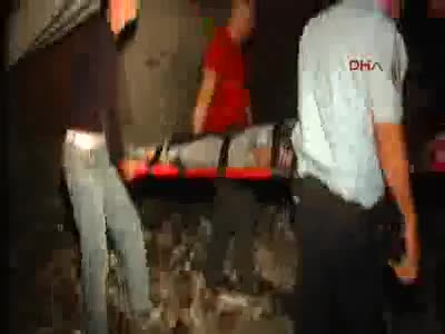Bursa'da bonzai hareketliliği