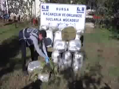 Bursa'da 74 kilogram esrar ele geçirildi