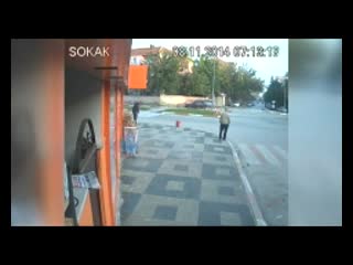 Koyun araçtan düştü, sürücü koşarak yakaladı