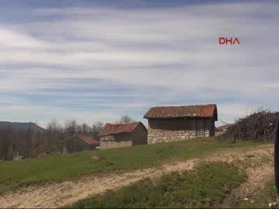 Bursa'da katır ve at kesenlere suçüstü!