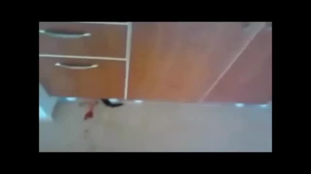 (+18) Kedi katiline tutuklama!