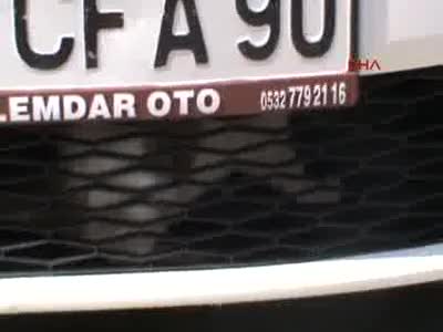 Bursa'da kedi kurtarma operasyonu