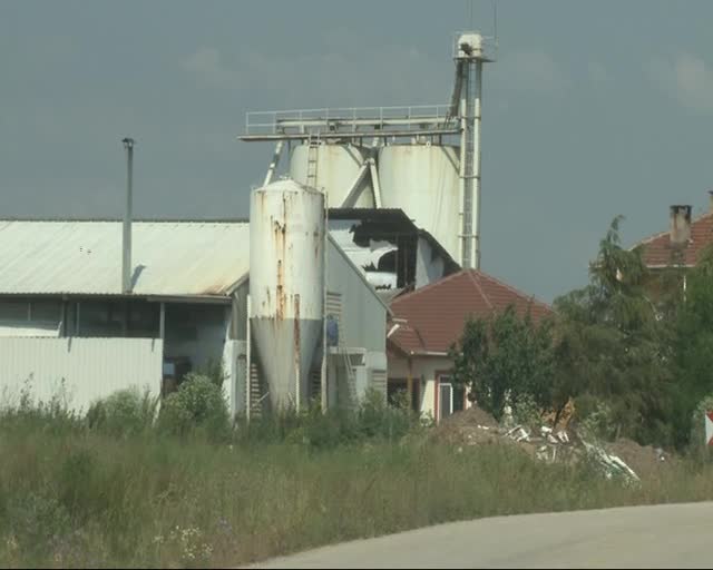 Bursa'da kuş gribi vakası