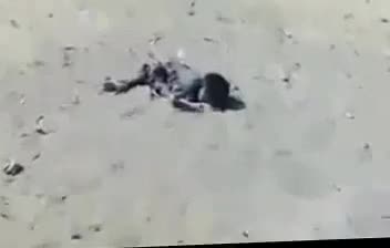 İsrail, çocukları yasalara uygun öldürmüş!