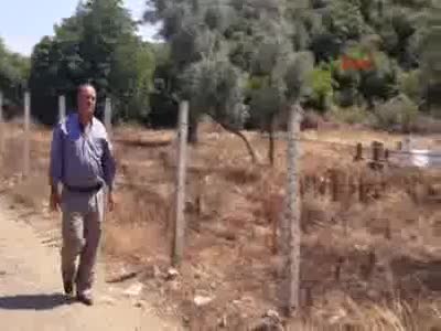 Cansu Kaya'nın babası: "Sen gelemedim, ben geldim kızım"