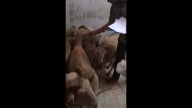 Jandarmadan kaçamadılar