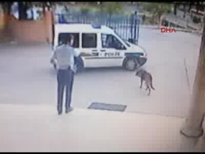 Komiser yardımcısı, karakolun bahçesinde köpeği vurdu!