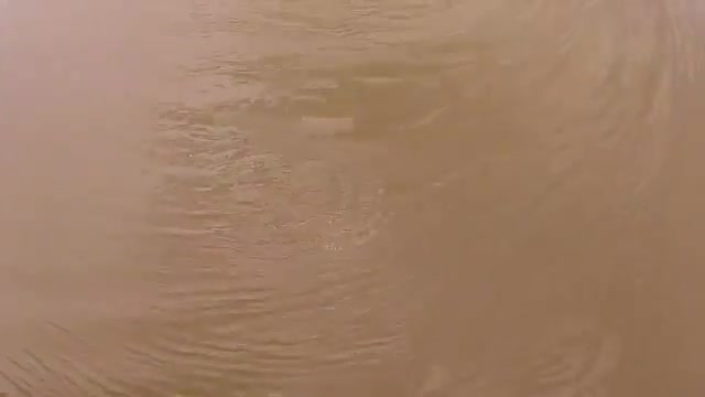 Gölün içindeki bu görüntü görenleri ürküttü!