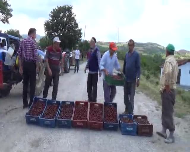 Bursa'da ihracat yapamayan kiraz üreticileri yol kapattı!