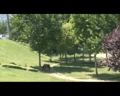 Sıcaktan bunalan Bursalılar parklara akın etti