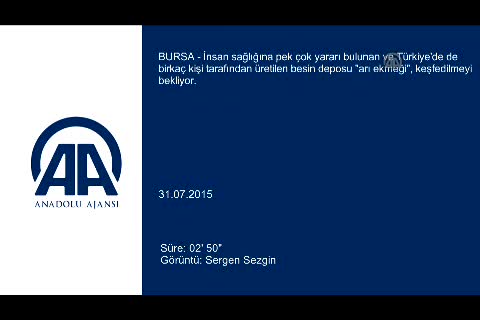 Keşfedilmemiş besin deposu "arı ekmeği"