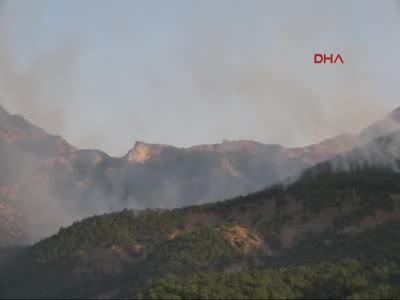 Tunceli ve Nusaybin'de orman yangınları