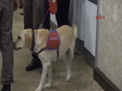 Bahçeli elini öptürmedi!