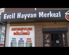 Bursalılar sıcak havalarda akvaryuma dikkat...