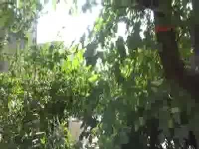 Silopi'de polise mayınlı tuzak: 4 polis şehit oldu!