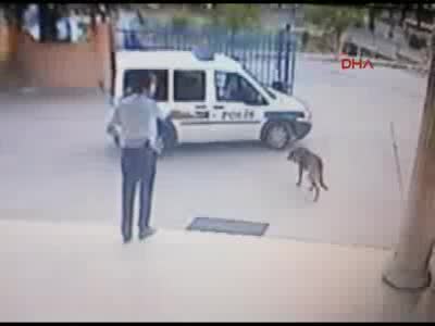 Köpeği vuran komiser yardımcısı bu kez bir kadının ölümüne neden oldu