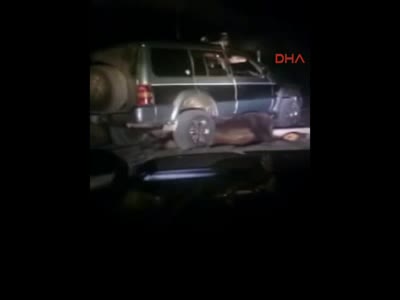 Ayıya yapılan insanlık dışı işkence izleyenlerin yüreklerini sızlattı