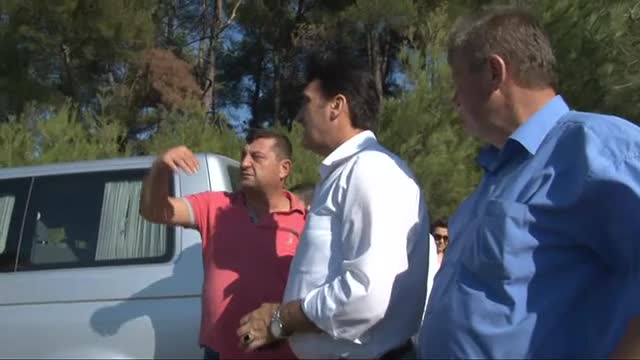 Bursa'da yanan alanlara fıstık çamı dikilecek