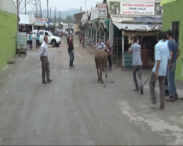 Kurban yakalama timi görevde