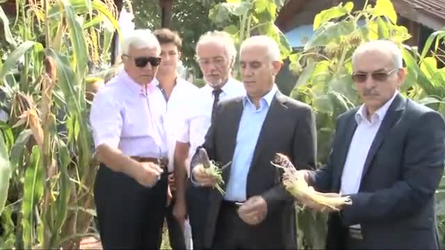Bursa'daki bu bahçede tüm ürünler doğal ve GDO'suz