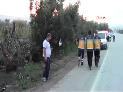 Otomobil zeytinliğe uçtu: 1 ölü, 2 yaralı