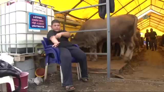 Kurban pazarının en küçük patronu