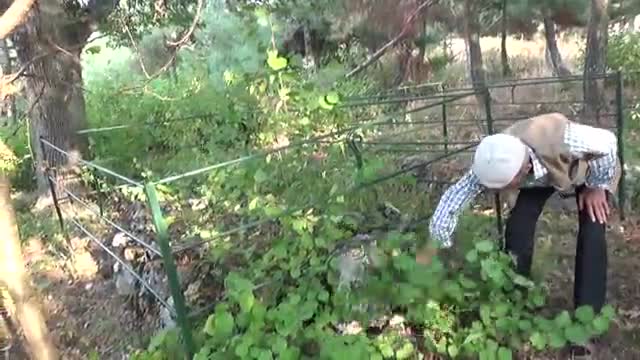 Bursa'da tüyleri diken diken eden gizem! Şehitlerin naaşları ilk günkü gibi...