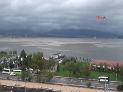 Şiddetli yağış körfezin rengini değiştirdi