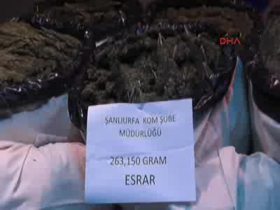 263 kilo esrara 2 gözaltı
