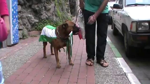 Bursasporlu fanatik taraftarın totemi görenleri şaşkına çevirdi