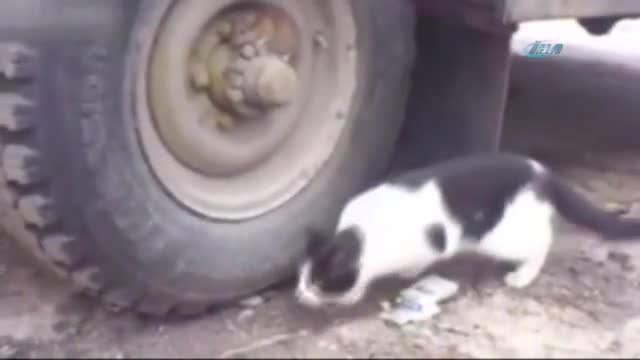 Bu kadar gerilim korku filmlerinde bile yok