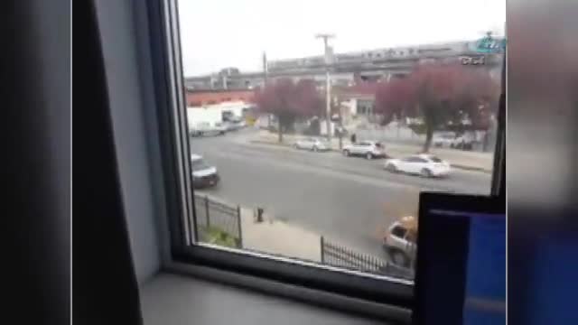 Amerika'dan Kastamonu'daki balıklarına yem attı
