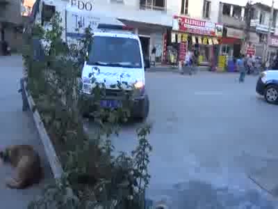 Belediye otobüsünde dayak ve bıçaklama