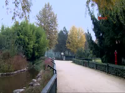 Bursa'da Zürafaları elleriyle beslediler