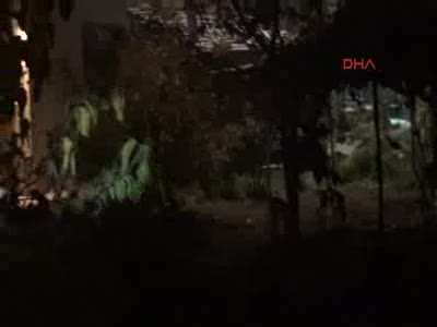 Şehre inen yaralı domuz ortalığı birbirine kattı