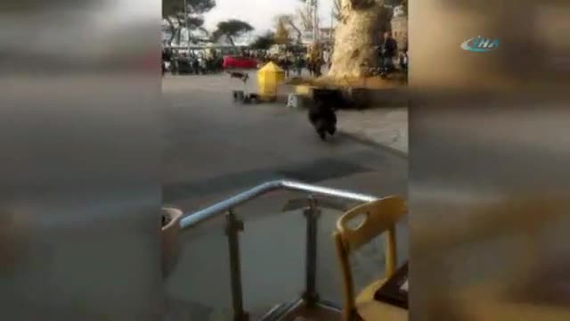 Domuz vatandaşı kovaladı: Burası İstanbul!