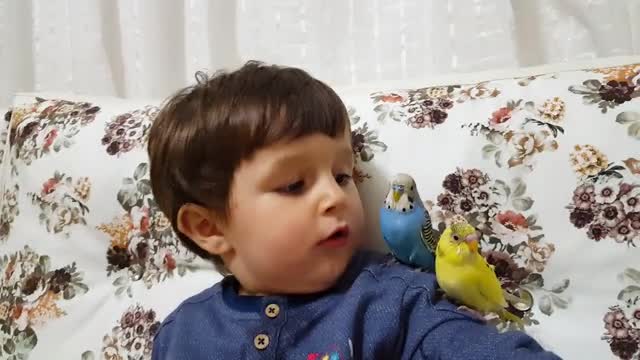 Bursa'da minik Taha'nın kuşlarla renkli diyaloğu