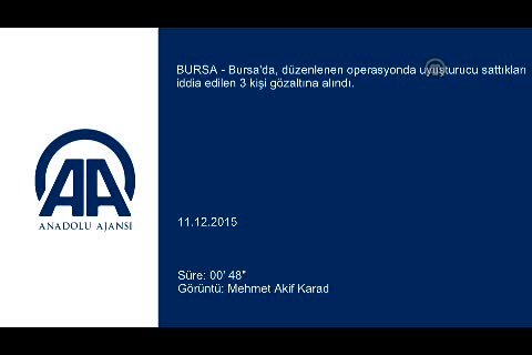Nazi kabusu Bursa'da hortladı!