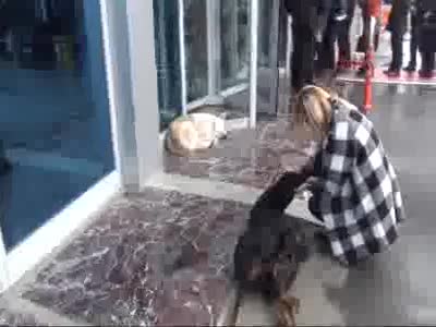 Cam filmine 'kadın sürücülere taciz var' savunması